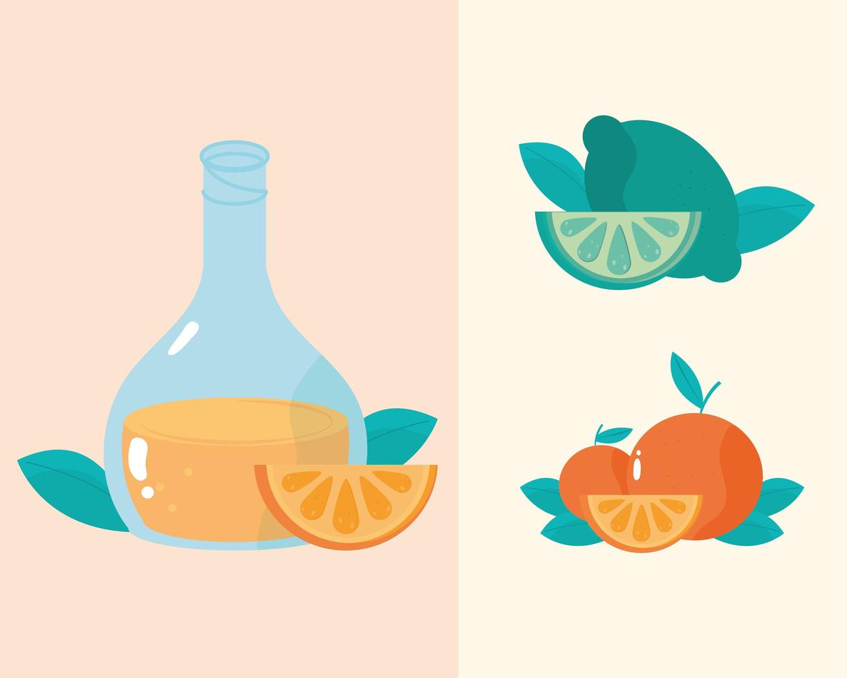 succo d'arancia e limone frutta agrumi pasto sano vettore