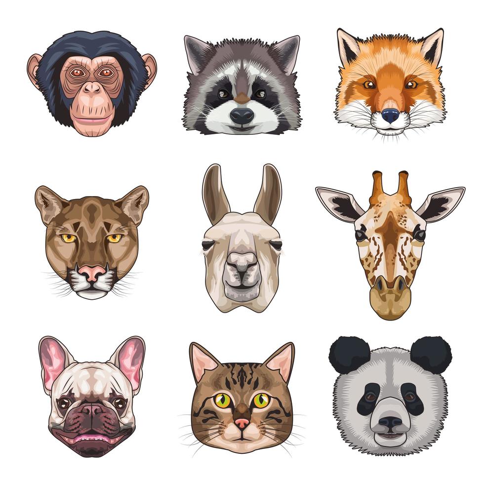 fascio di nove animali domestici e set di icone selvagge vettore