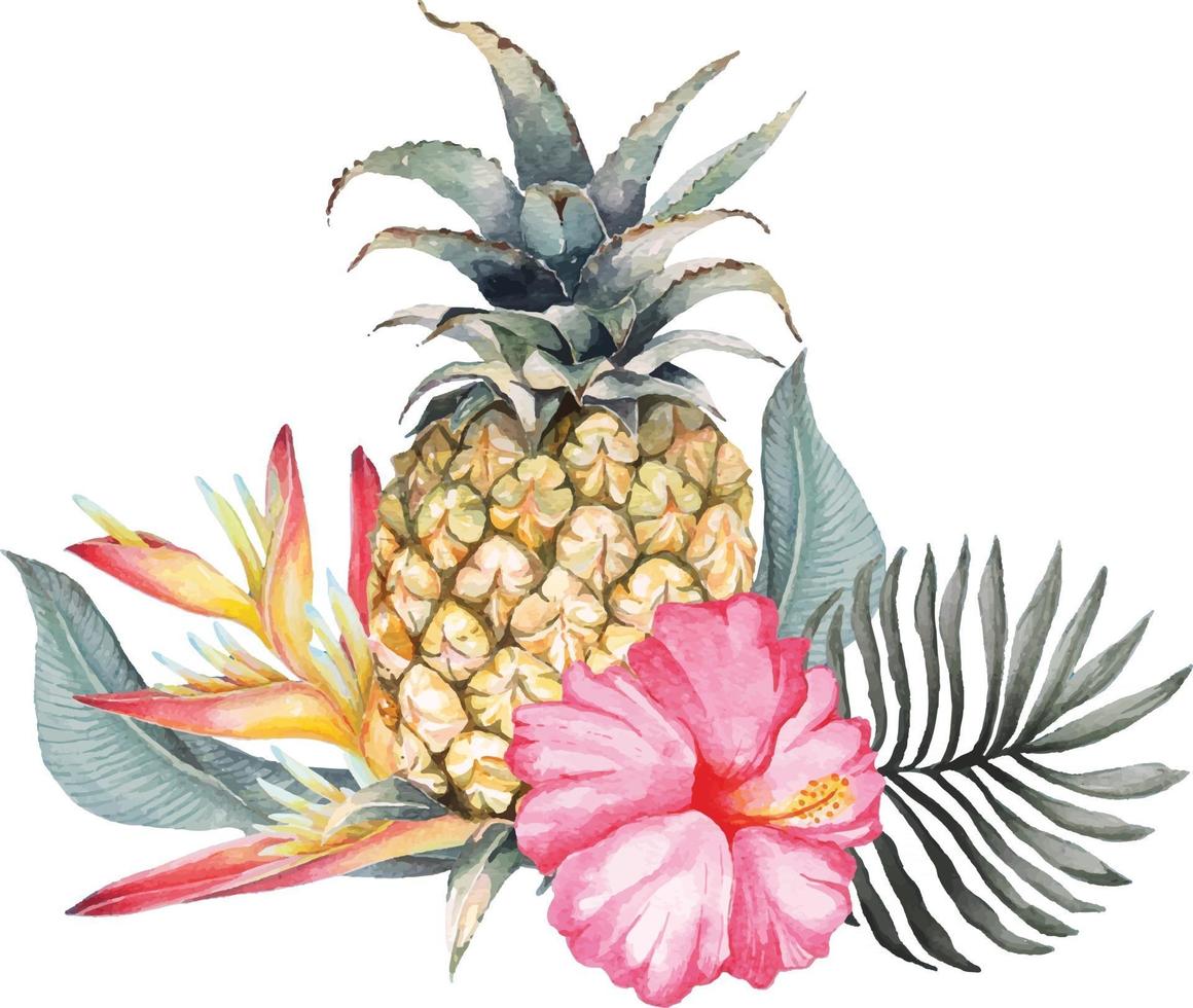 composizione di ananas e ibisco con acquerello 2 vettore