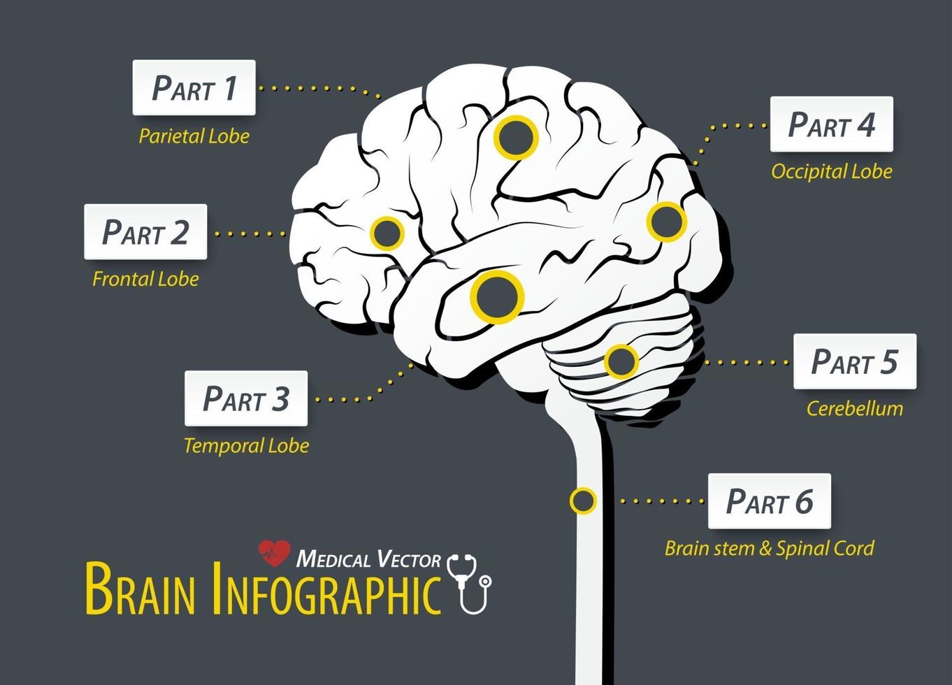 cervello infografica design piatto vettore