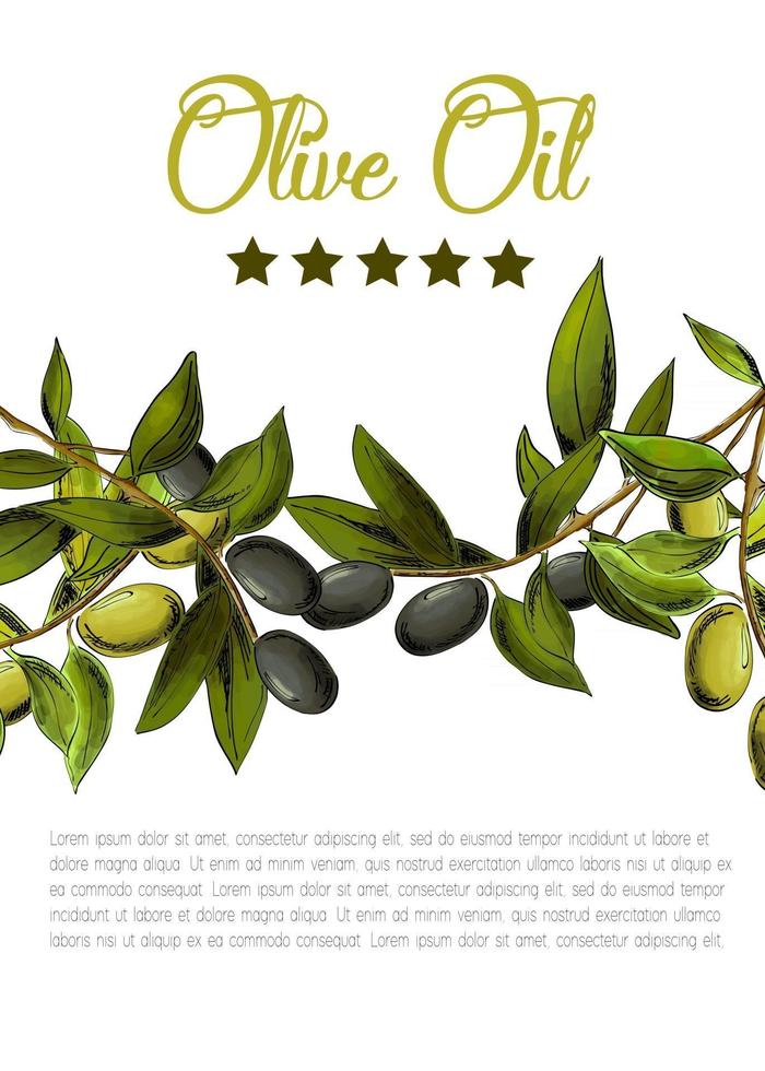 modello di vettore con olive nere e verdi su sfondo bianco