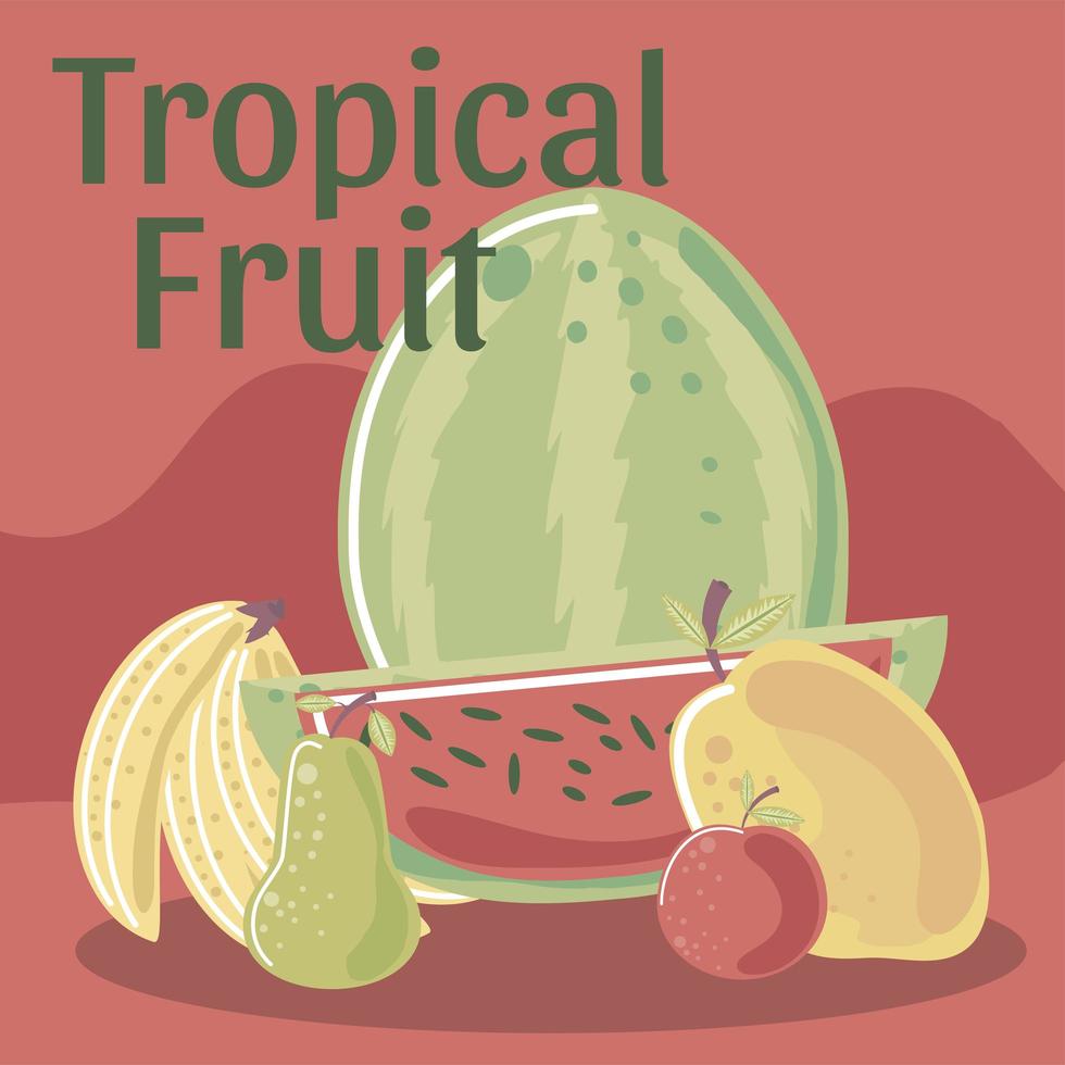frutta tropicale anguria mango mela pera e banana vettore