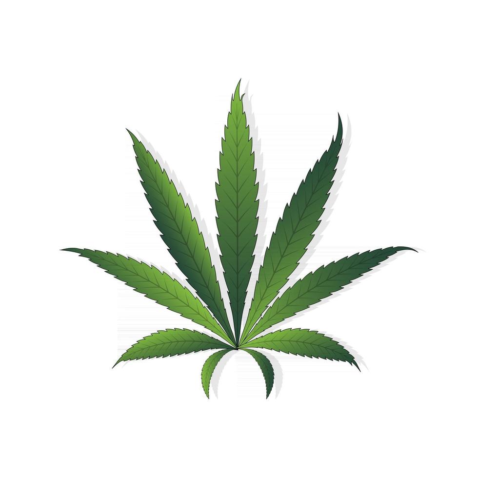 semplice icona di cannabis leaf silhouette sativa marijuana vettore
