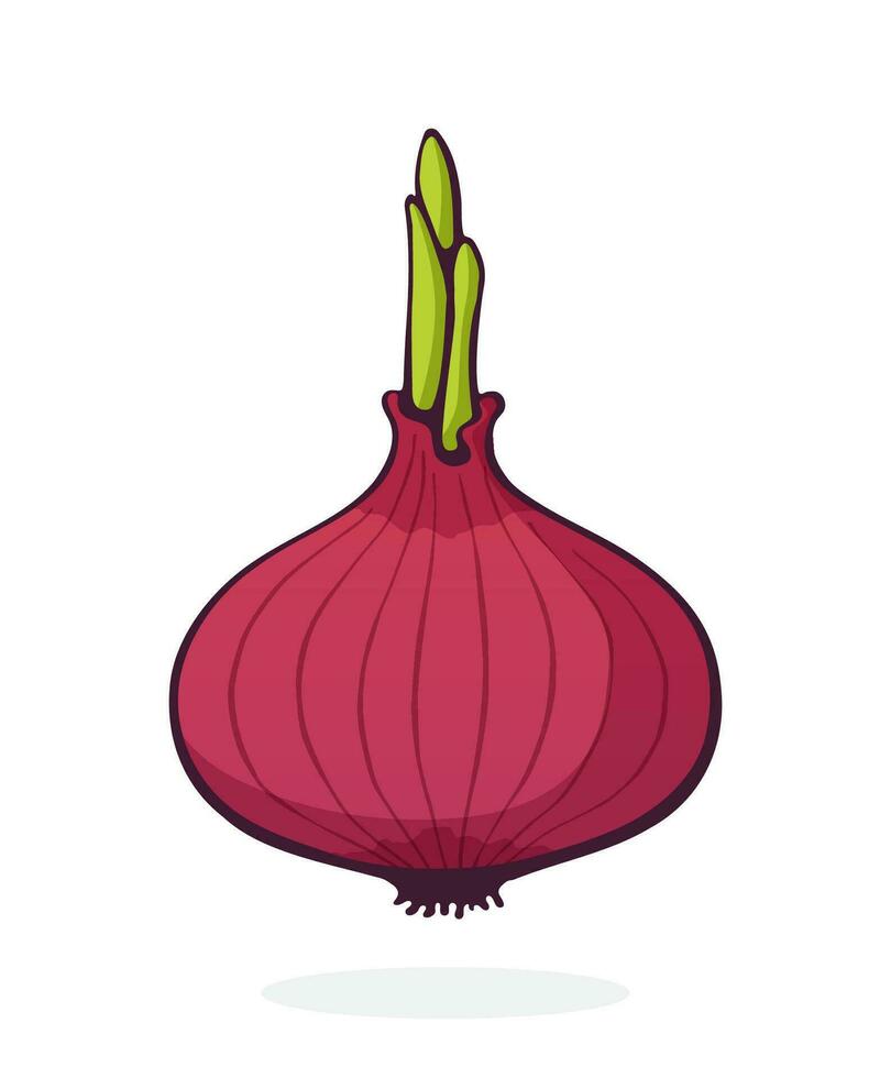 cartone animato illustrazione di lampadina di rosso cipolla con verde germoglio. salutare vegetariano cibo. ingrediente per insalata vettore