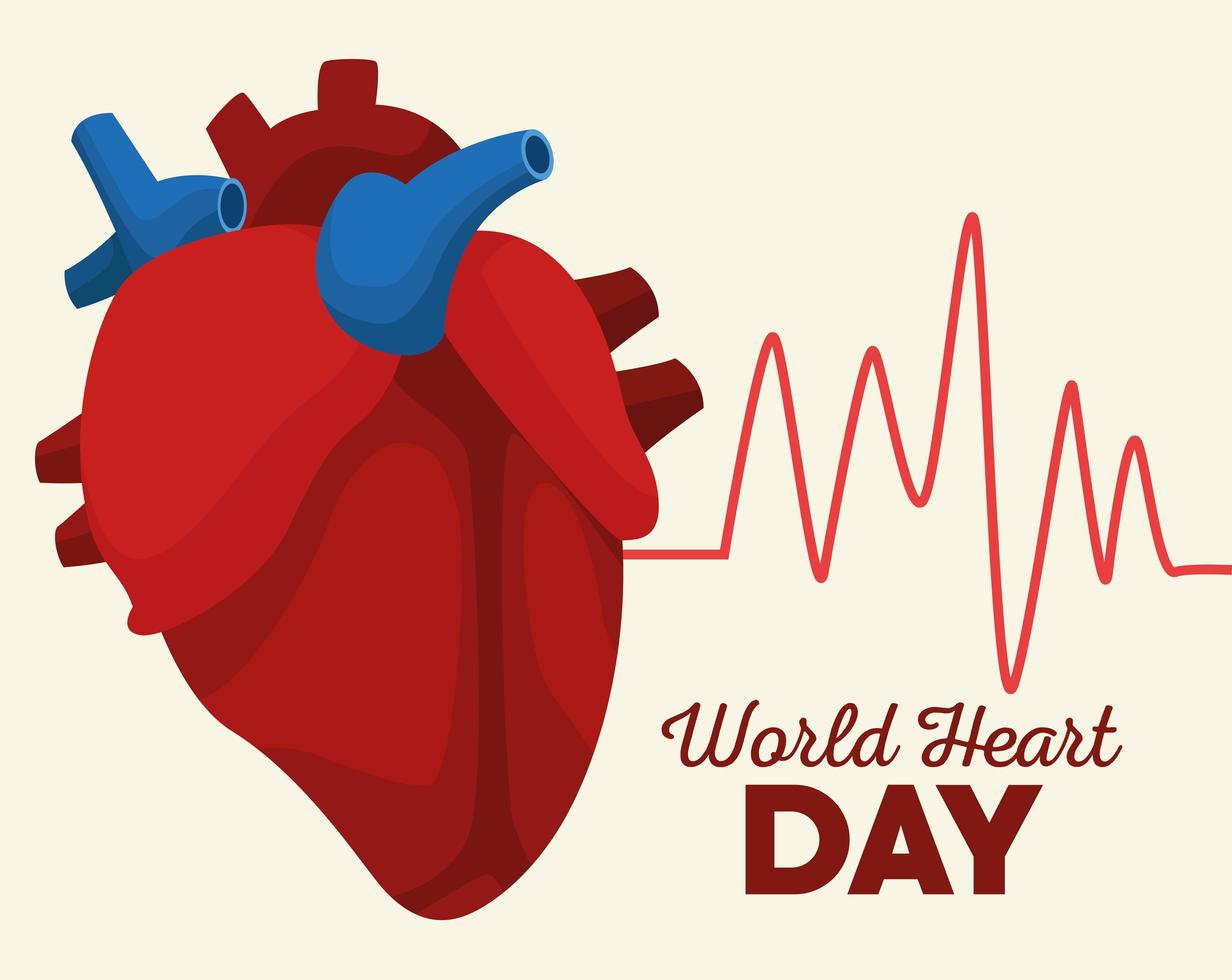 lettering giornata mondiale del cuore con organo con linea di impulsi cardiologici vettore