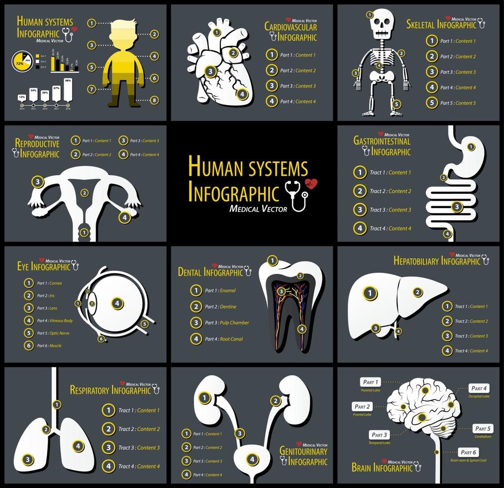 set di infografica sui sistemi umani cardiovascolare scheletrico riproduttivo gastrointestinale occhio dentale epatobiliare respiratorio genito-urinario neurologico vettore