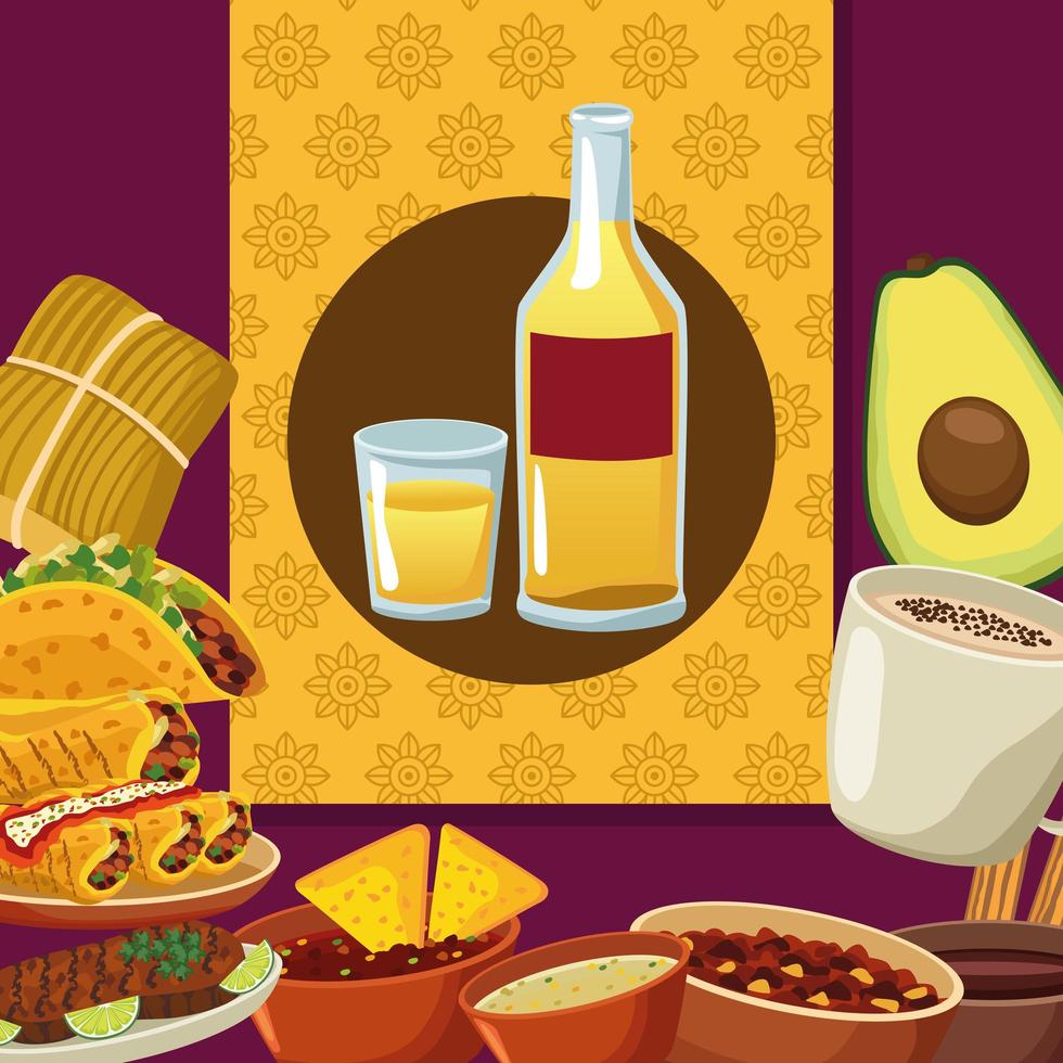 Icone del set di bottiglie di cibo messicano e tequila vettore