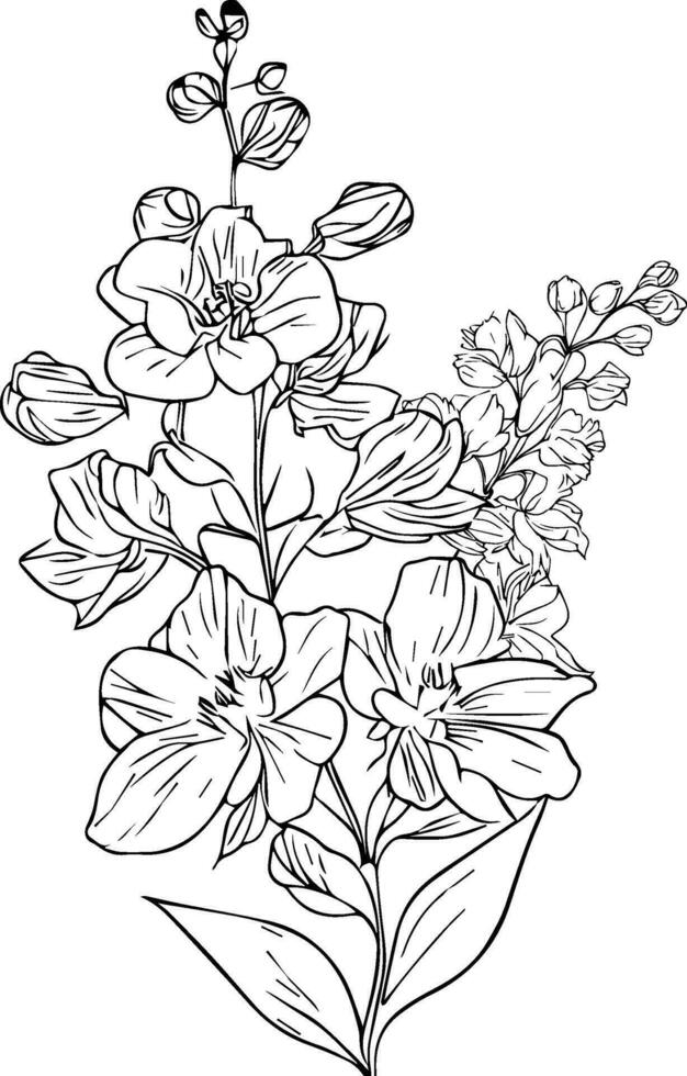 scientifico larkspur botanico illustrazione. botanico delfinio disegno, isolato larkspur fiore linea arte balck e bianca clipart vettore