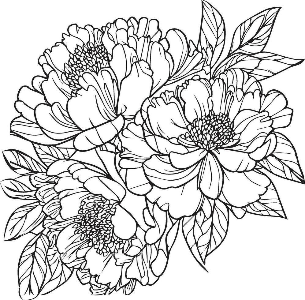 peonia fiore linea arte, vettore illustrazione, disegnato a mano matita schizzo, colorazione prenotare, e pagina, isolato su bianca sfondo clip arte. peonia fiore disegno, realistico peonia fiore schema disegno.