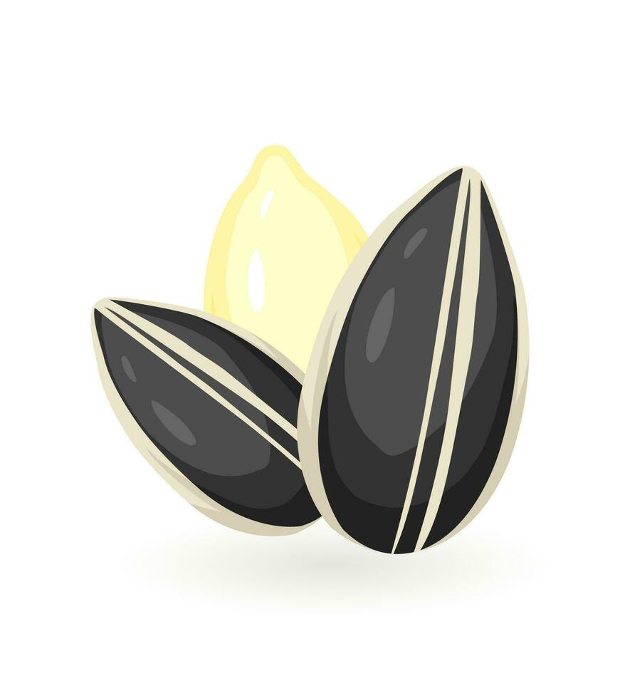 realistico cartone animato girasole seme icona. colorato vettore illustrazione. pianta icona isolato su bianca sfondo.