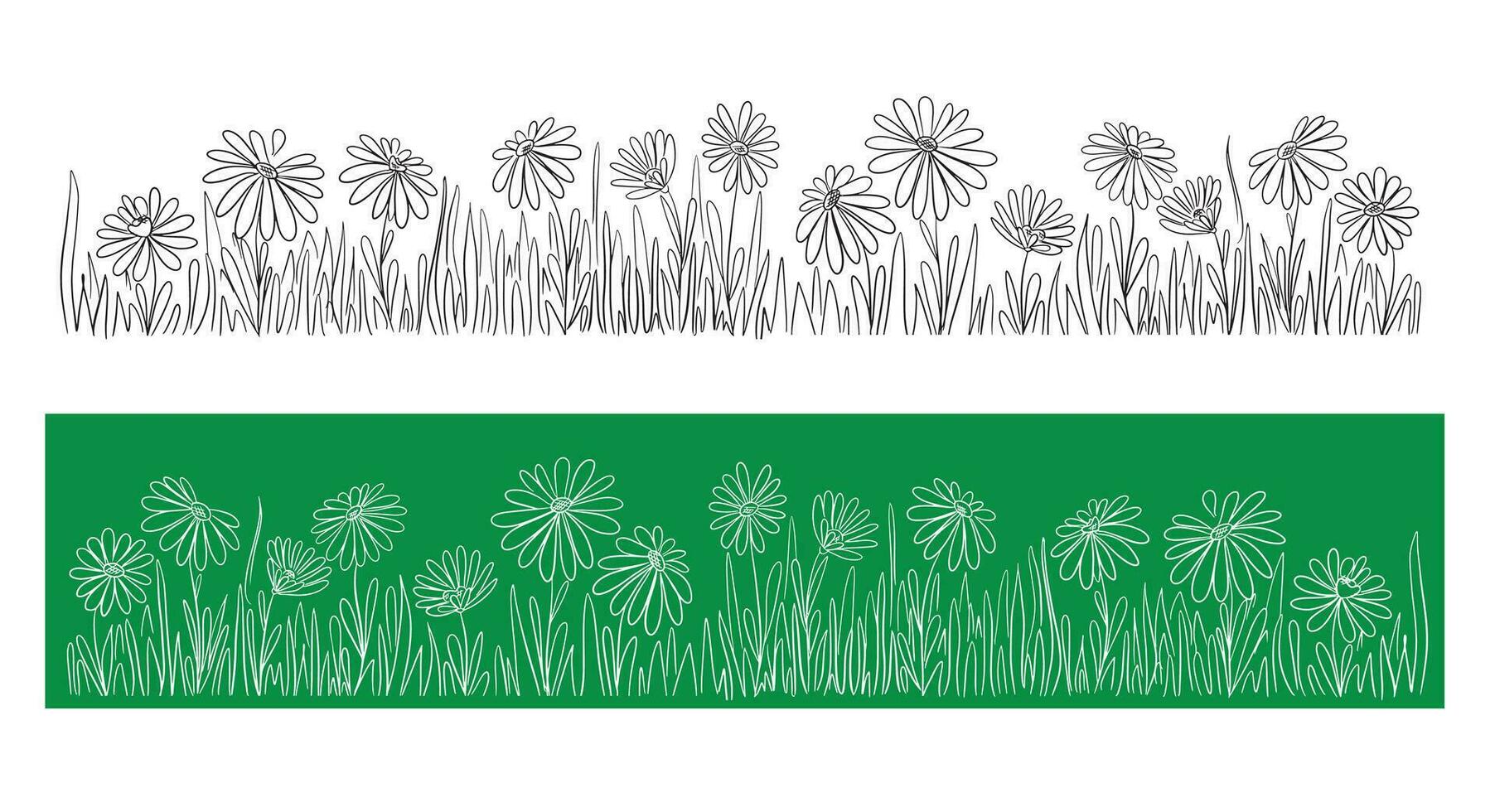 selvaggio camomilla fiori su il campo mano fiori.disegnati su bianca sfondo botanico mano disegnato margherita schizzo vettore scarabocchio illustrazione per design pacchetto Tè, biologico cosmetici, naturale medicina