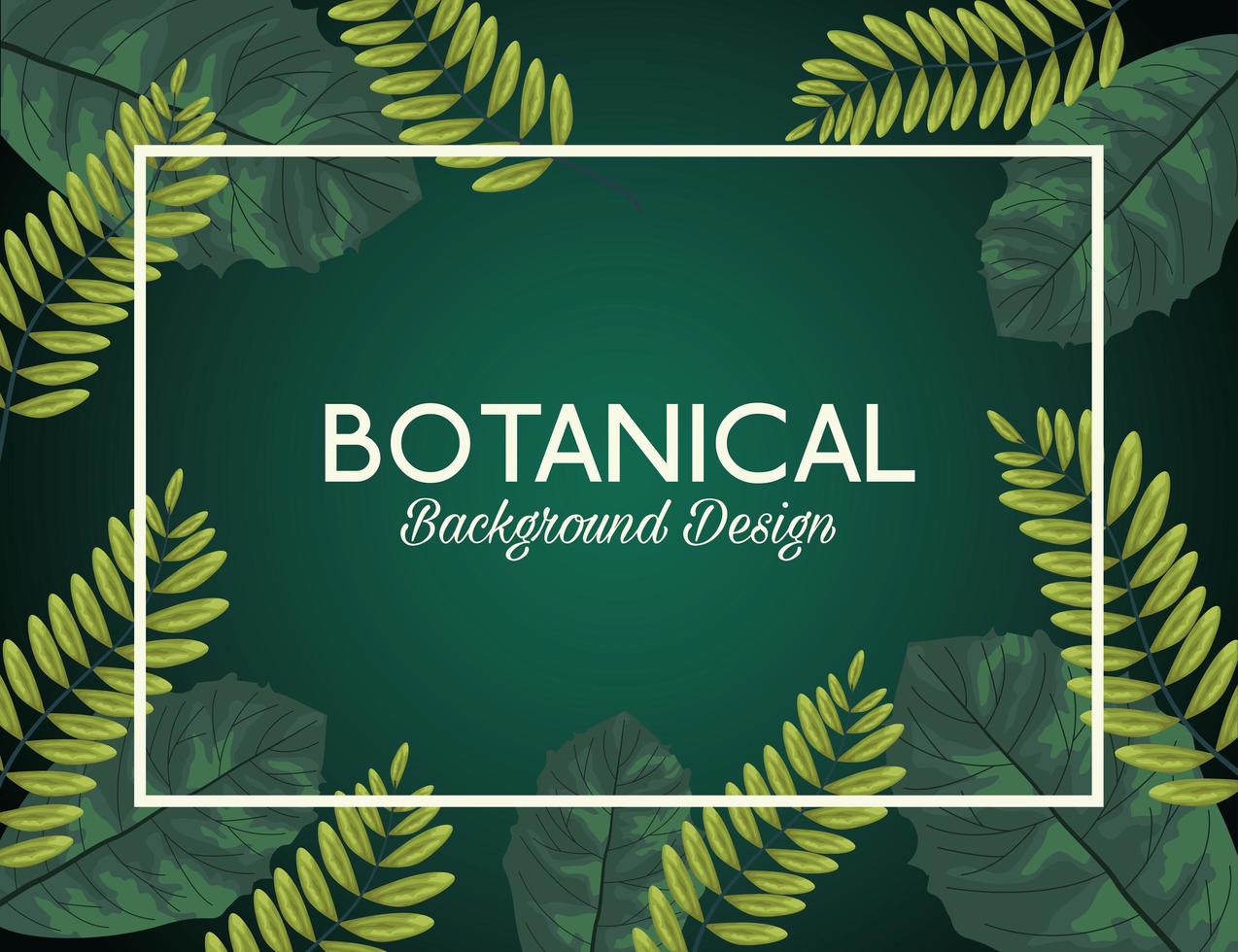 foglie tropicali in cornice quadrata e scritte a sfondo botanico design vettore
