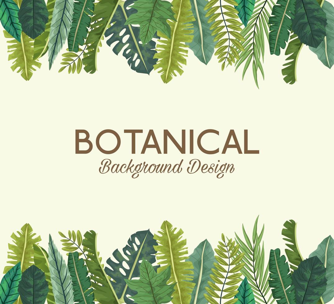 foglie tropicali e scritte sullo sfondo botanico design vettore