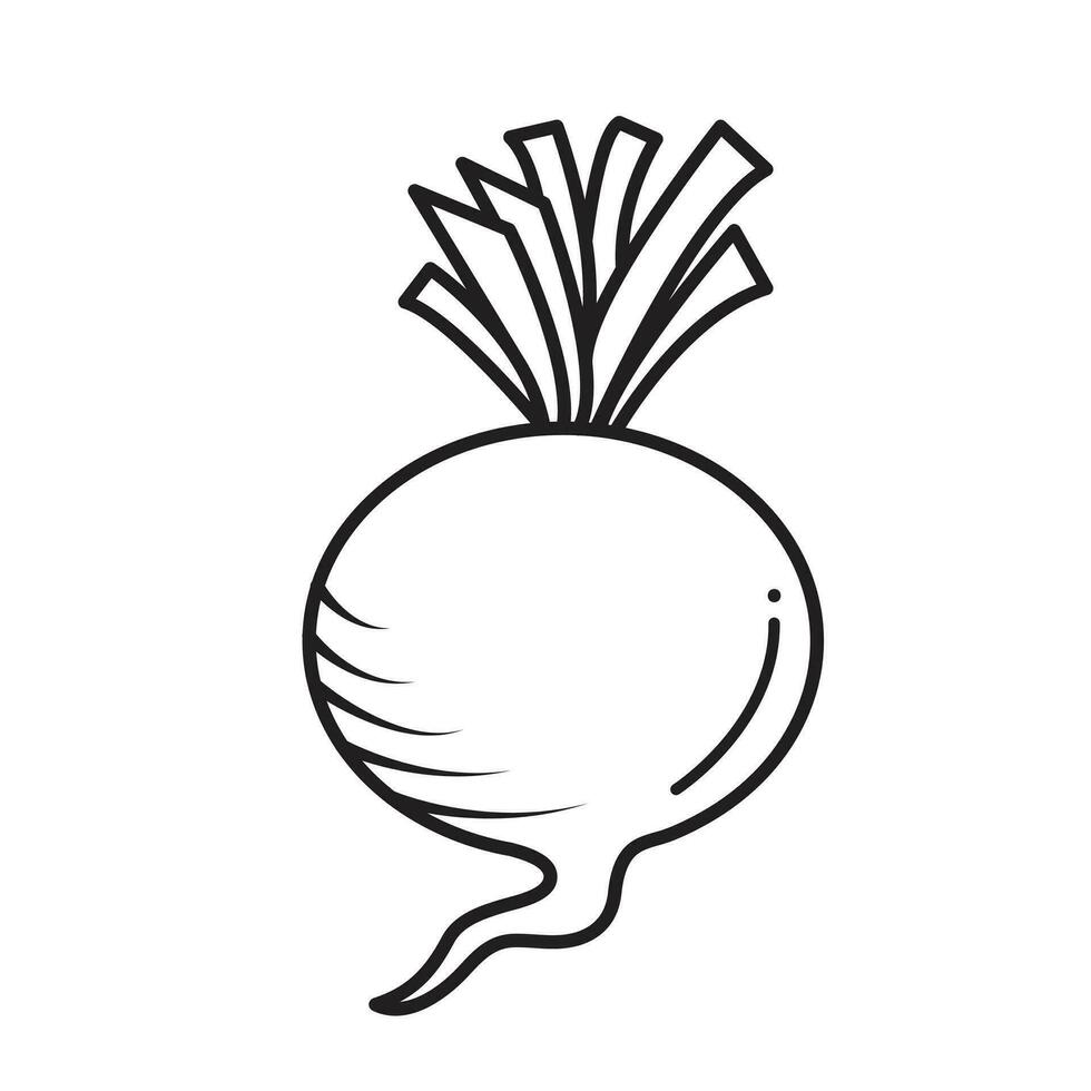 barbabietola verdura vettore icona illustrazione isolato su piazza bianca sfondo. semplice piatto cartone animato verdura salutare naturale cibo ingredienti disegno.