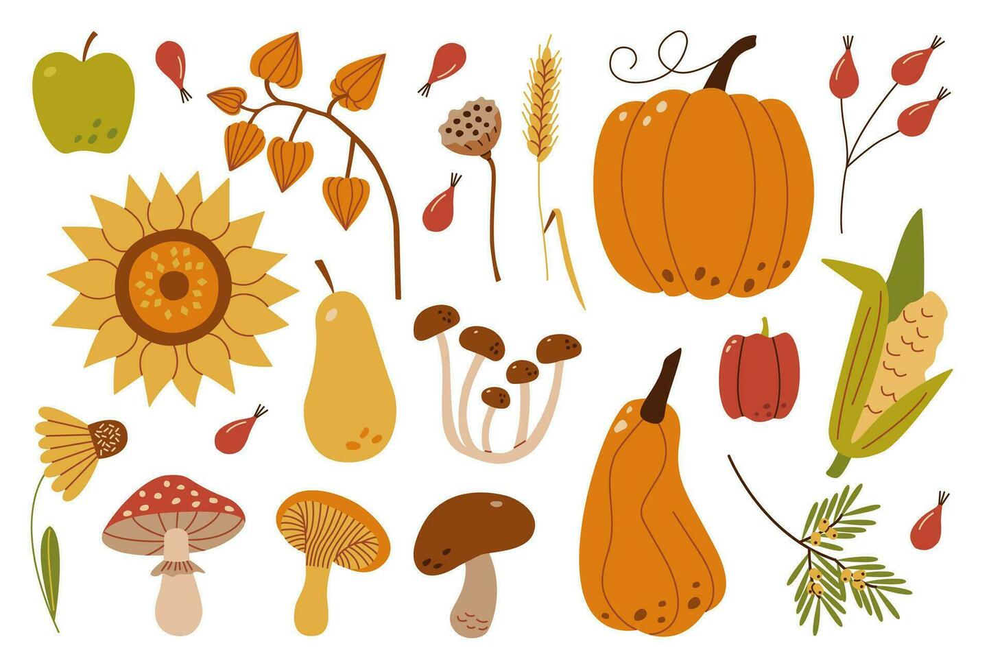autunno raccogliere impostare. collezione di maturo delizioso la verdura, fresco frutta, frutti di bosco, funghi, in ritardo fiori. colorato elegante di stagione vettore illustrazione nel moderno stile.