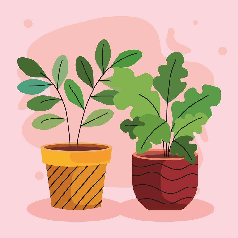 fascio di due piante da appartamento in vasi di ceramica vettore