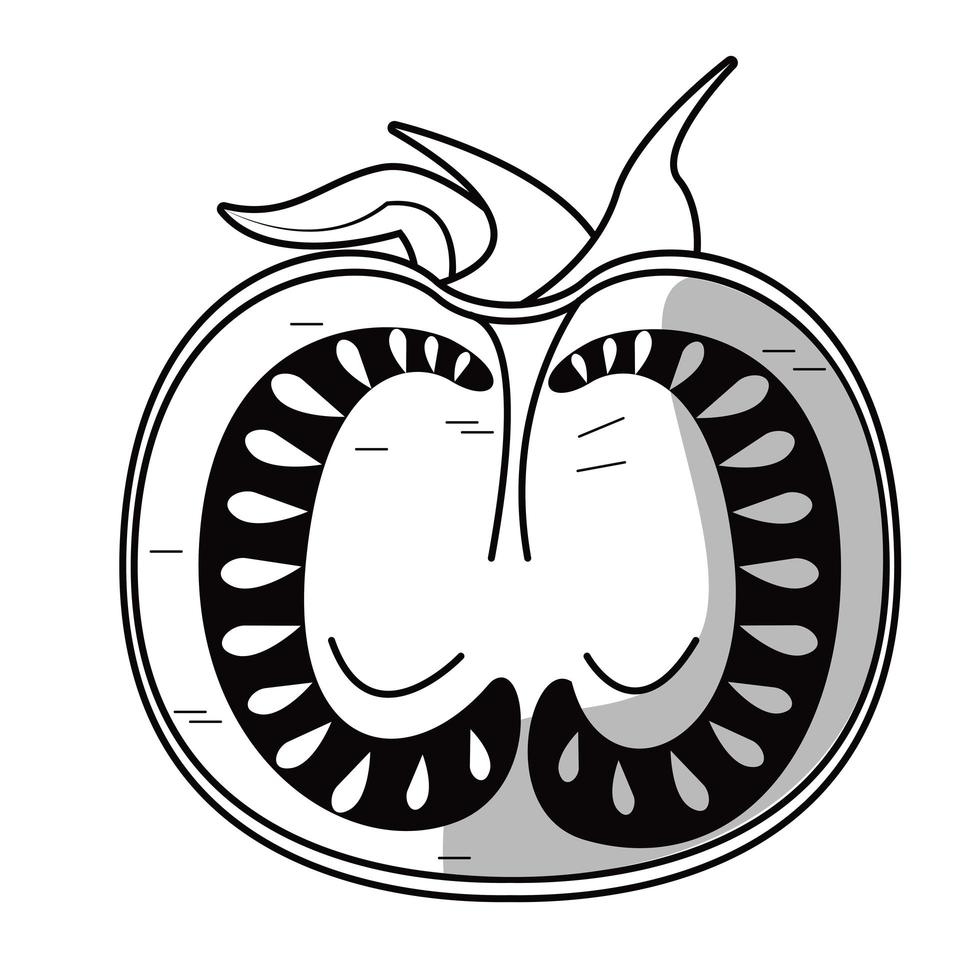 icona disegnata mezza verdura di pomodoro fresco vettore