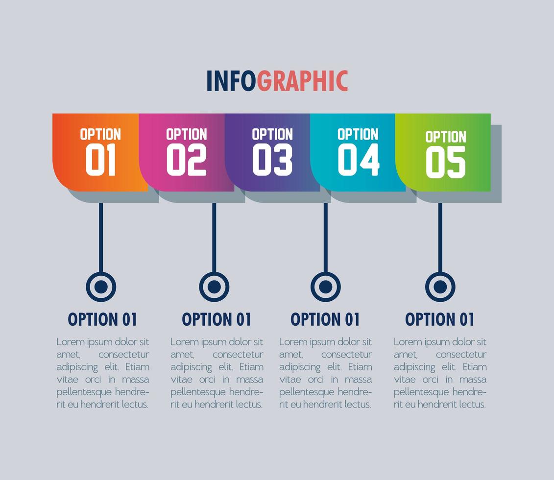 modello di infografica con opzioni di numeri vettore