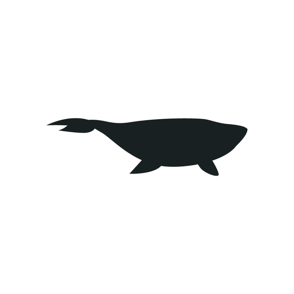balena icona vettore. sperma balena illustrazione cartello. pesce simbolo. oceano logo. vettore
