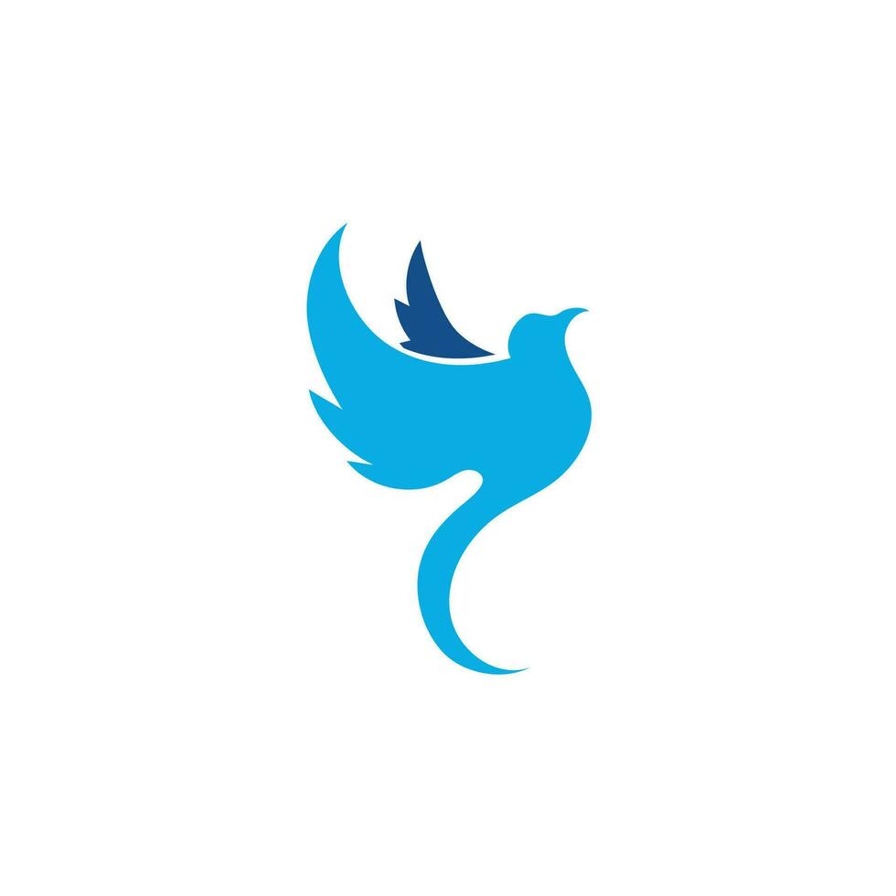 uccello logo immagini illustrazione design vettore