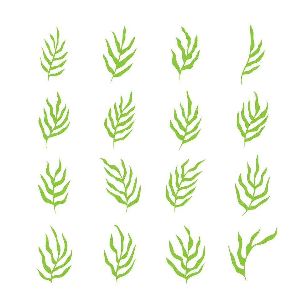 verde biologico le foglie icona impostato isolato vettore illustrazione.