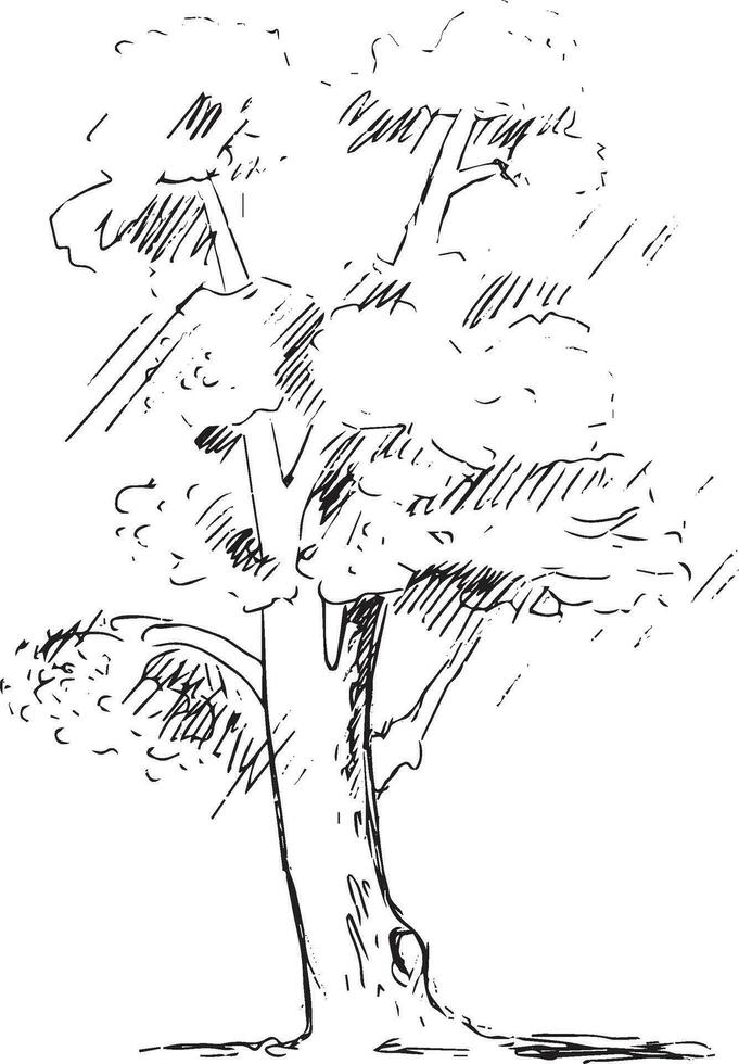 albero nel scarabocchio stile su leggero sfondo. vettore