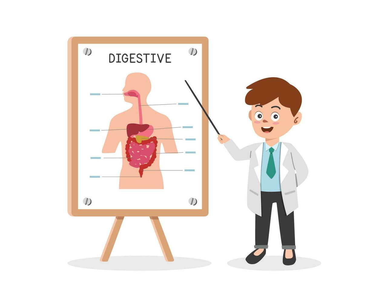 digestivo sistema clipart cartone animato. medico presentazione umano digestivo sistema a medico seminario piatto vettore illustrazione. gastrointestinale tratto, fegato, stomaco, intestino. medico conferenza concetto