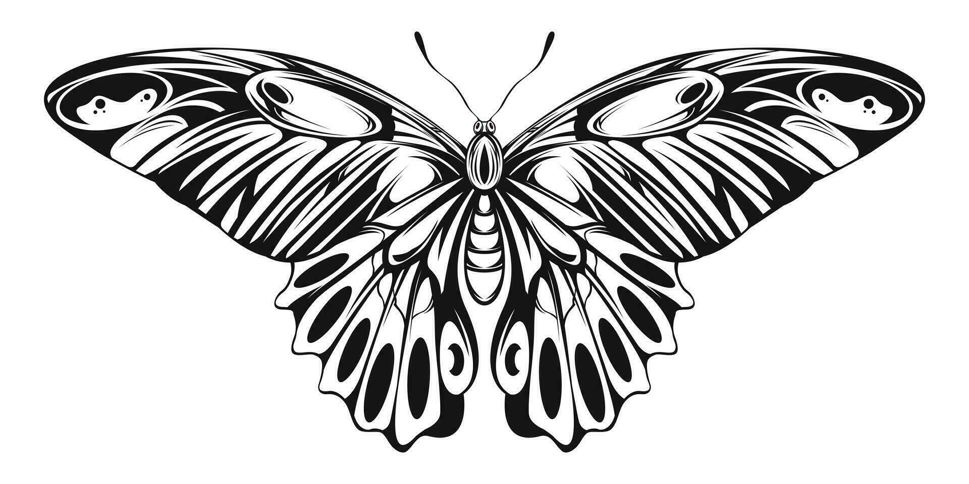 farfalla mano disegnato vettore design