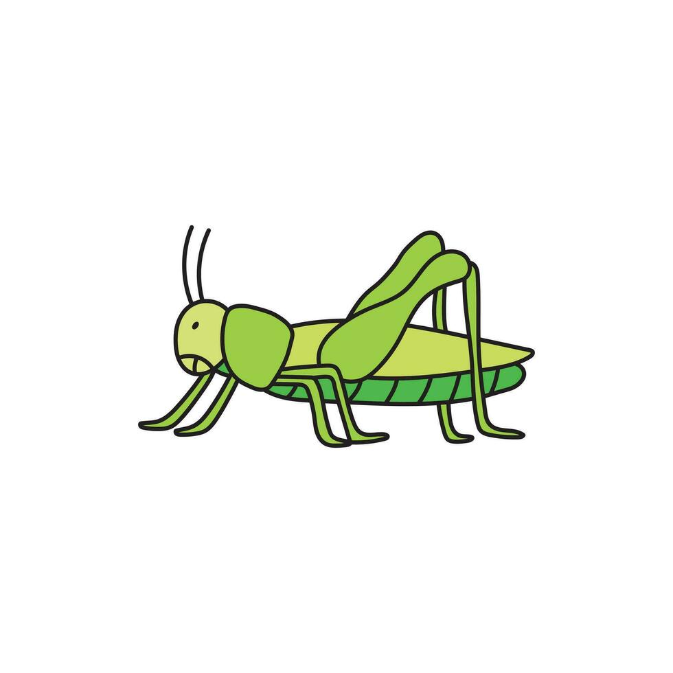bambini disegno cartone animato vettore illustrazione carino grasshoper icona isolato su bianca sfondo