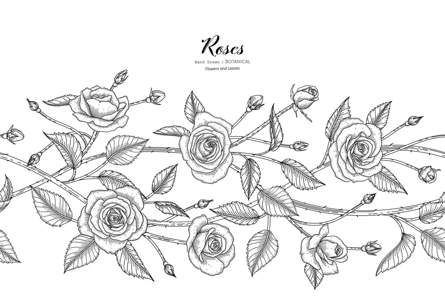 modello senza cuciture rose fiore e foglia illustrazione botanica disegnata a mano con line art vettore