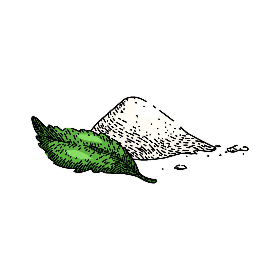 Stevia pianta zucchero schizzo mano disegnato vettore