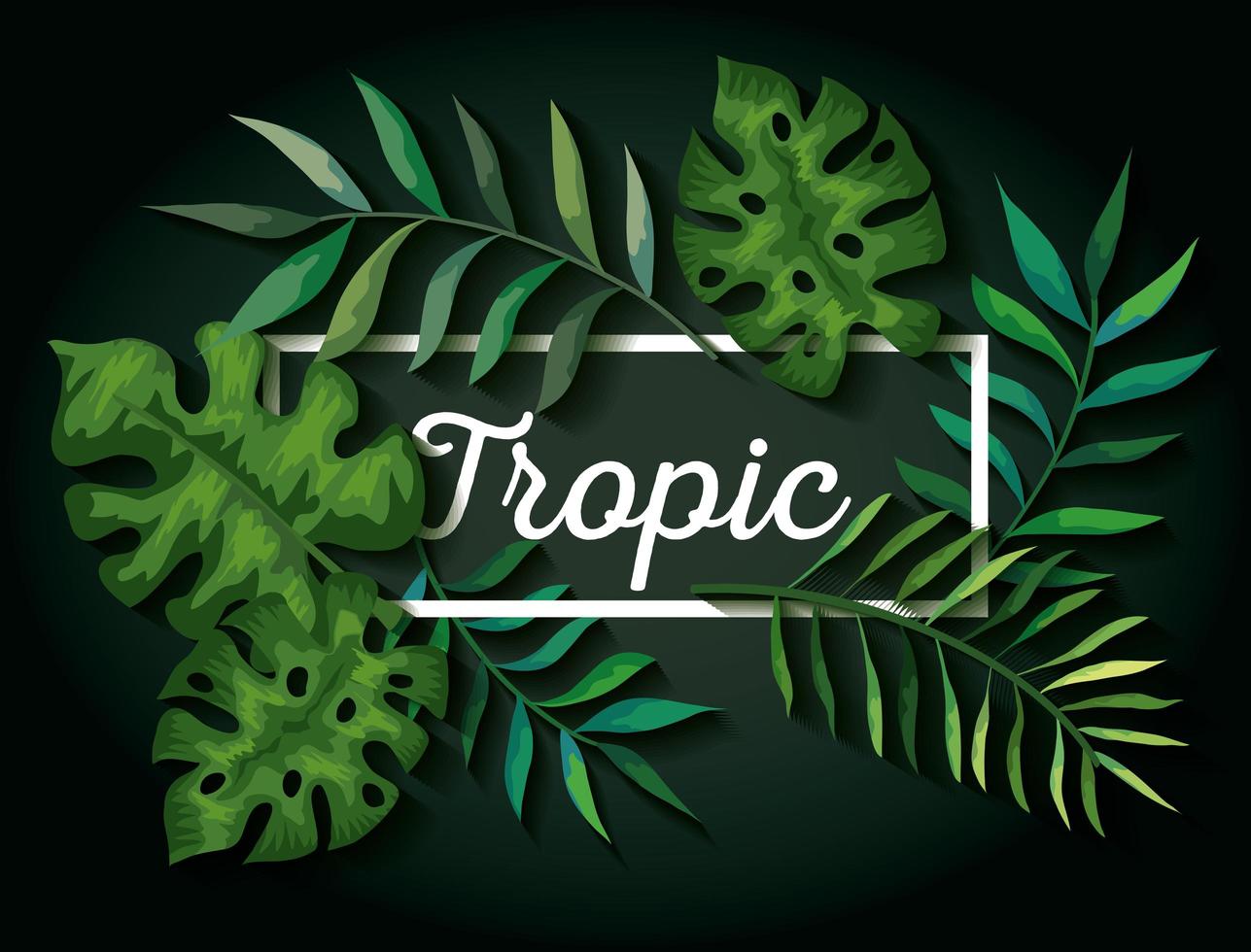 sfondo di foglie tropicali naturali vettore