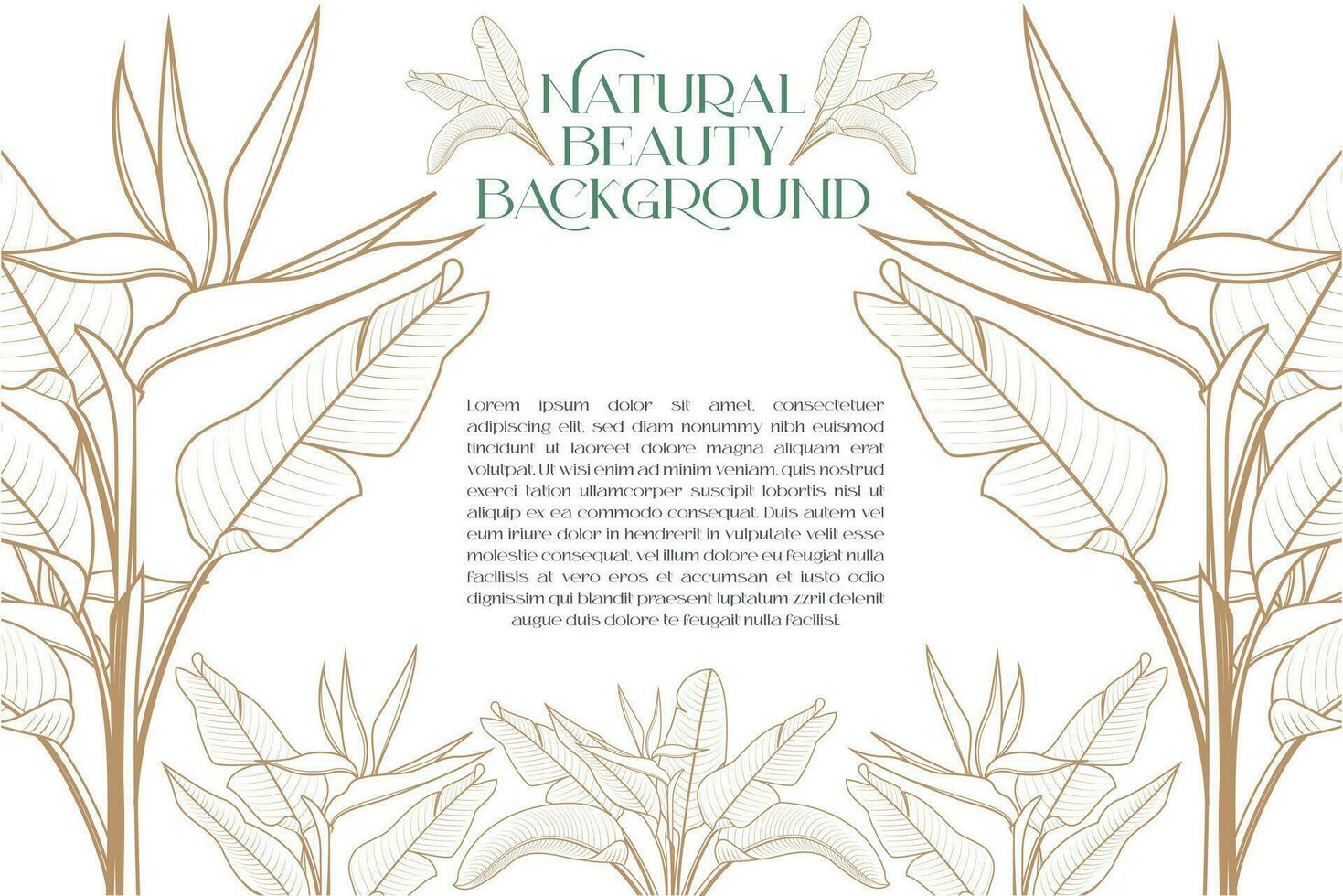heliconia le foglie floreale vettore design modello come sfondo per cosmetico e terme naturale bellezza etichette