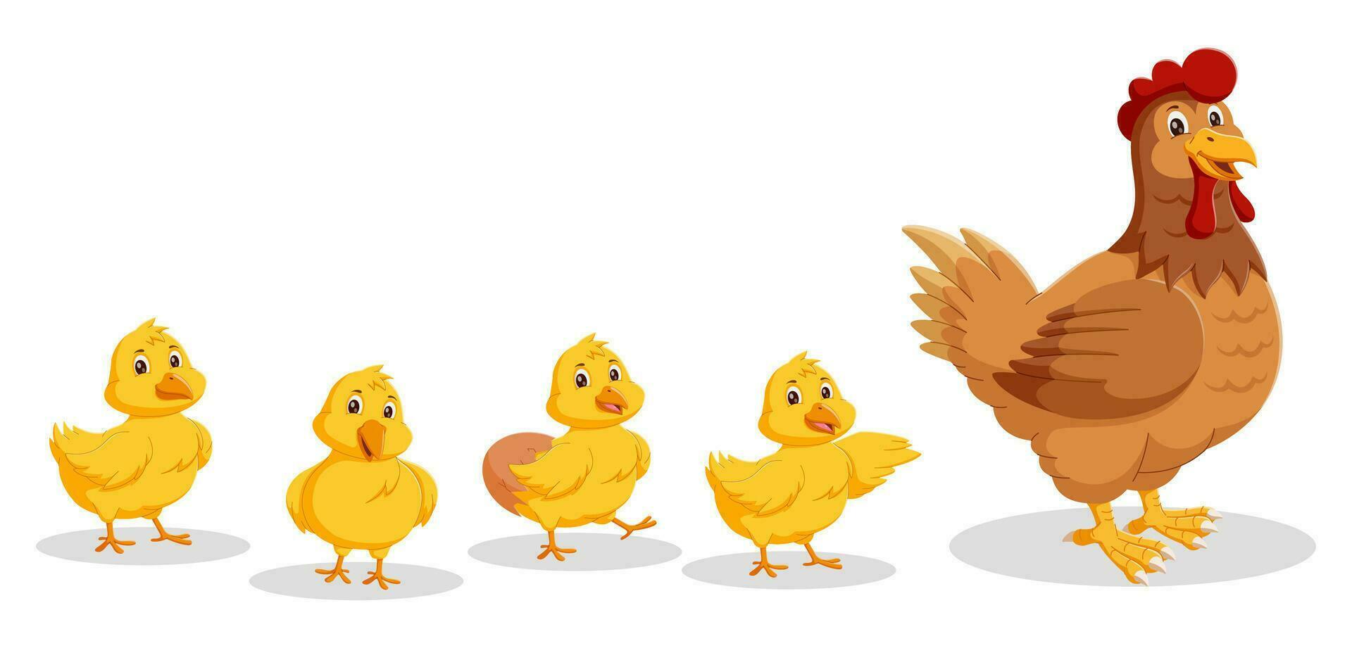 pollo e pulcini cartone animato, illustrazione di madre gallina e pulcini vettore