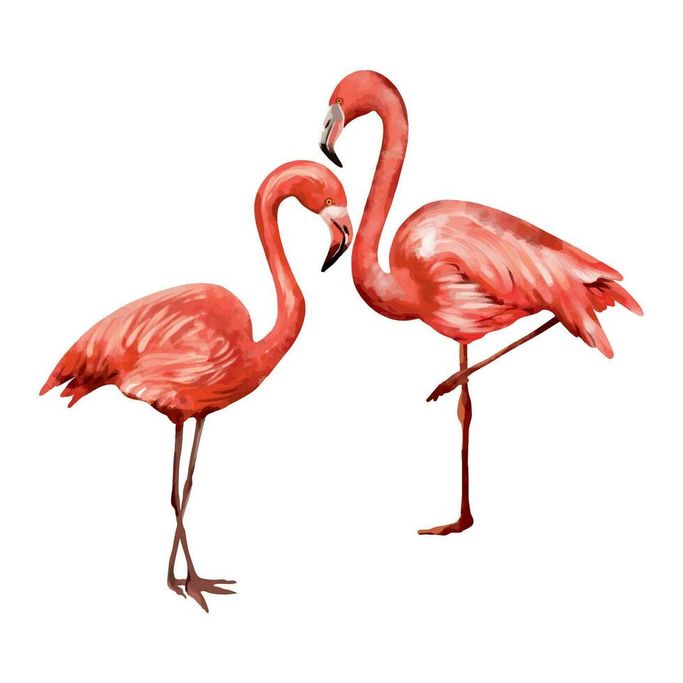 Due rosa fenicotteri. vettore illustrazione di tropicale uccelli nel un' acquerello stile su un' bianca sfondo. design elemento per nozze inviti, saluto carte, estate striscioni.