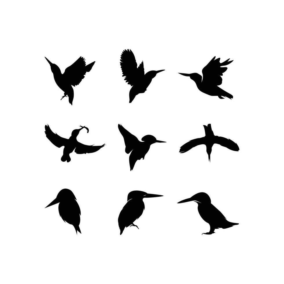 martin pescatore uccello silhouette collezione vettore