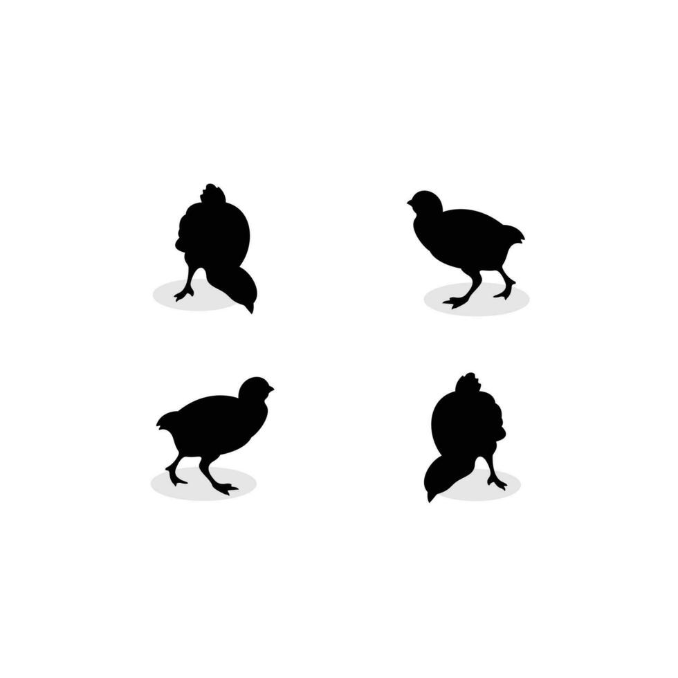 pollo silhouette design vettore