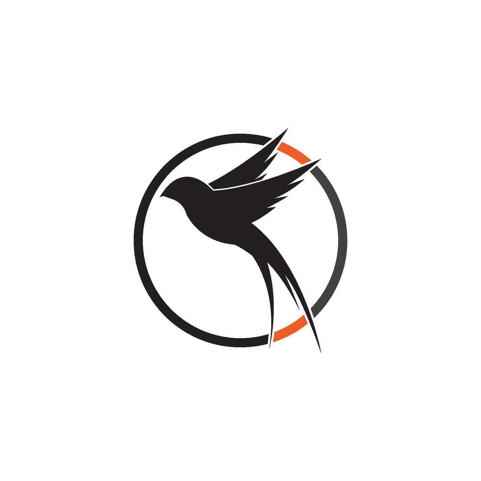 uccello logo modello vettore
