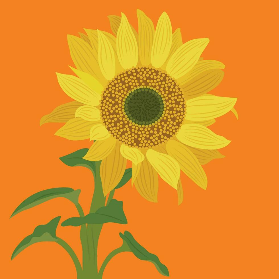 girasole piatto illustrazione vettore