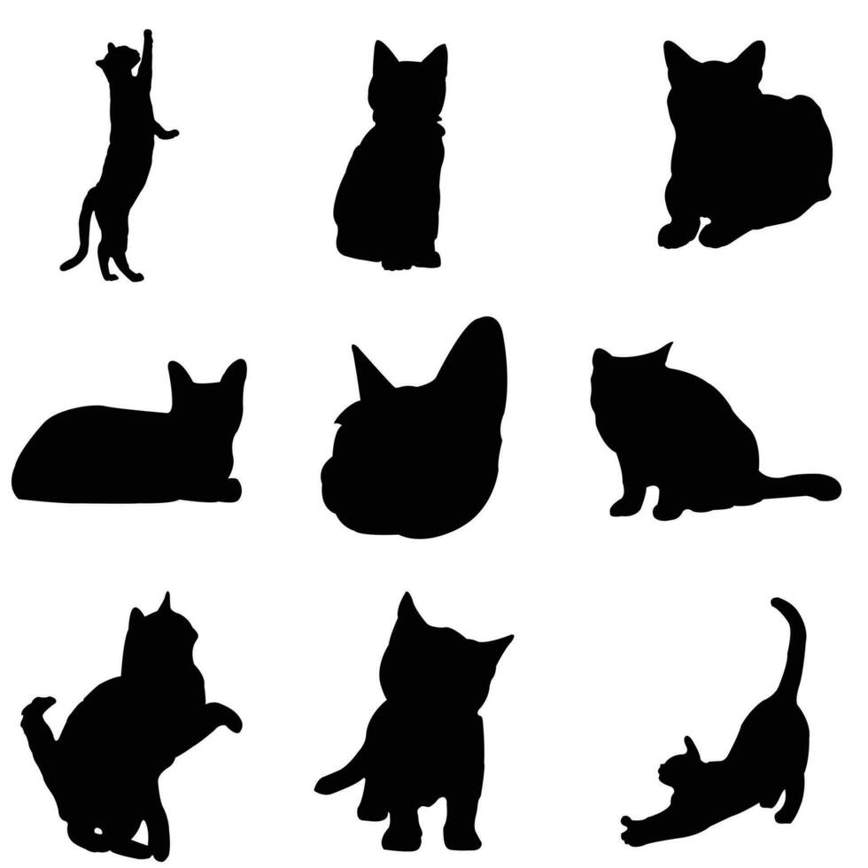 gatto silhouette vettore arte, icona. animale domestico, eps