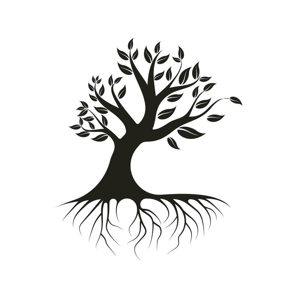 radice foglia famiglia albero di vita quercia banyan acero francobollo foca emblema etichetta logo vettore
