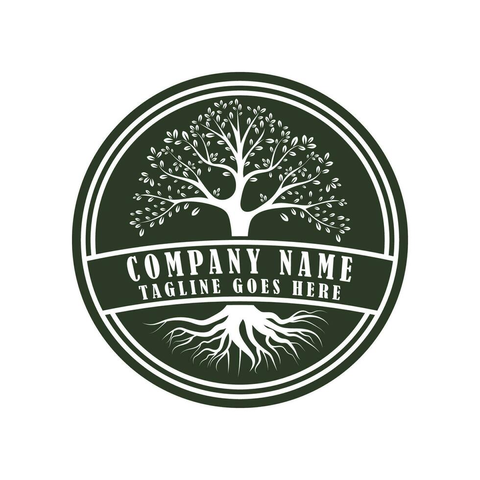 radice foglia famiglia albero di vita quercia banyan acero francobollo foca emblema etichetta logo vettore