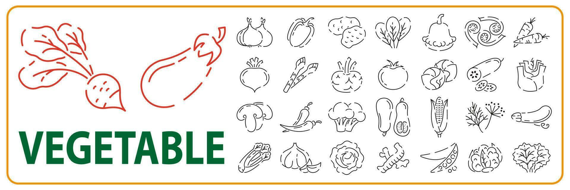 vegetariano, verdura, verdure - minimo magro linea icona impostare. semplice vettore icona come pomodoro, cetriolo, cavolo rapa, cavolfiore, pattypan schiacciare, Fiddleheads bene cibo e Salute.