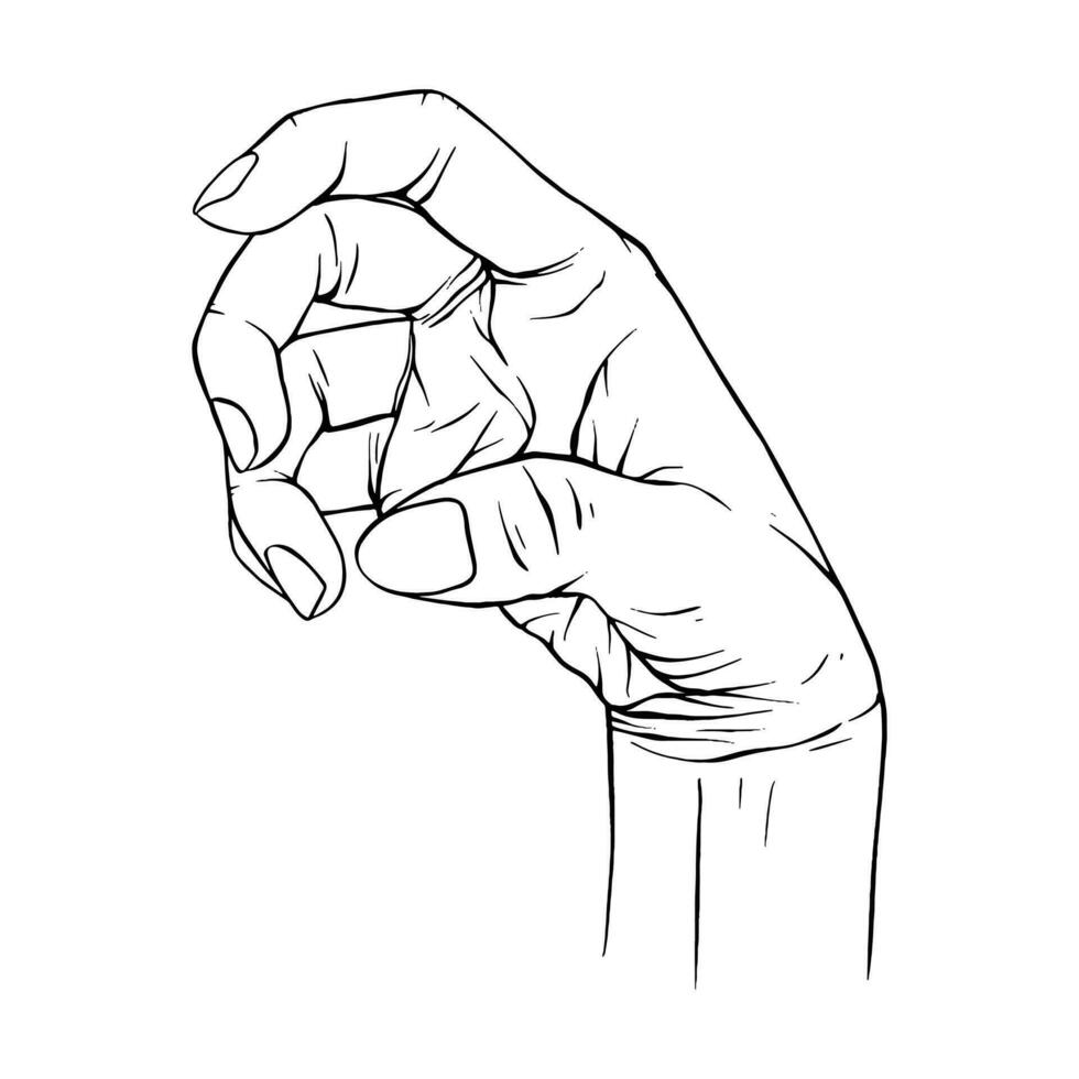 mano disegnato gesto schizzo vettore illustrazione linea arte