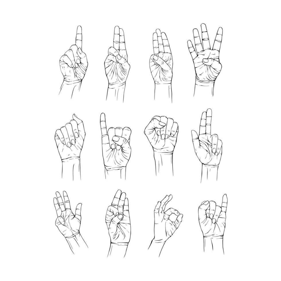 impostato numero mano collezione disegnato gesto schizzo vettore illustrazione linea arte