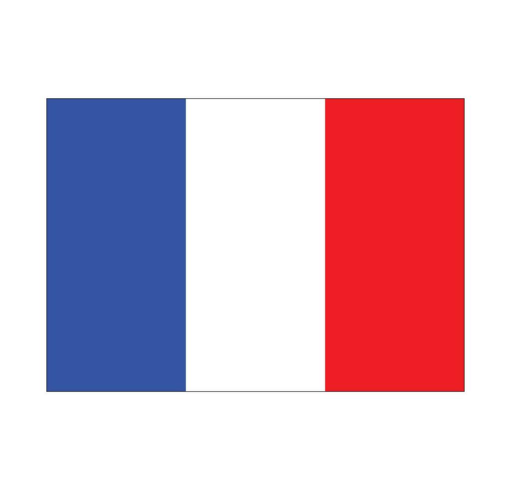 vettore di bandiera della francia
