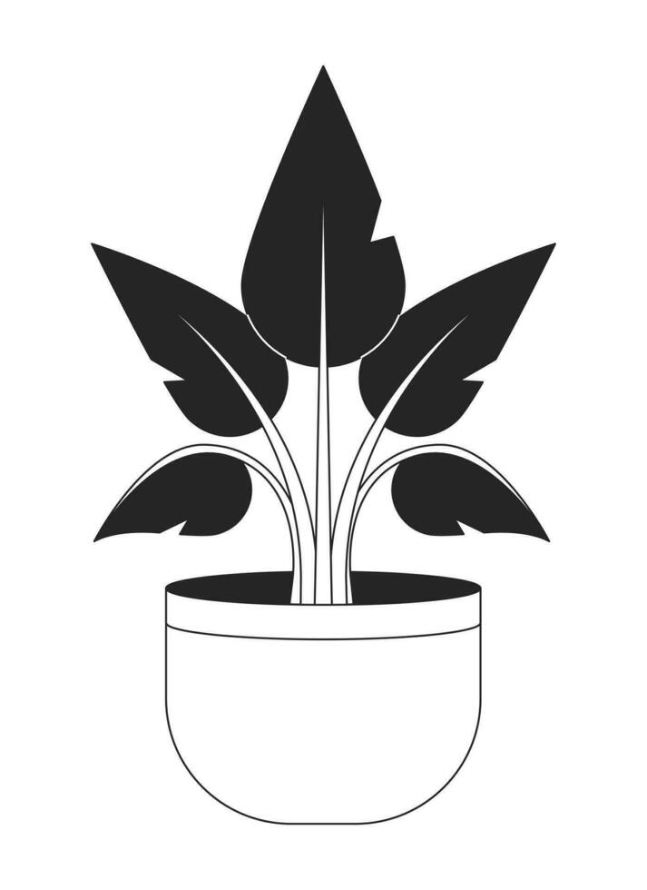 in vaso lussureggiante pianta della casa piatto monocromatico isolato vettore oggetto. vivente camera interno casa pianta. modificabile nero e bianca linea arte disegno. semplice schema individuare illustrazione per ragnatela grafico design