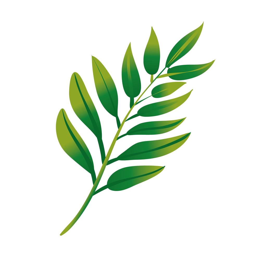 ramo con foglie icona botanica stile sfumato vettore
