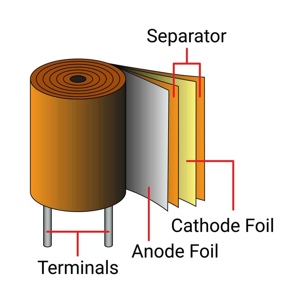 elettrolitico condensatore struttura. elettronico componente. adatto per educativo prodotti. vettore