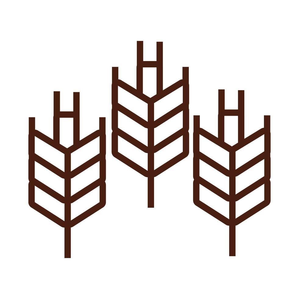 icona di stile della linea di spighe di grano vettore